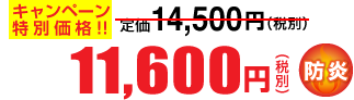 11,600円(税別)